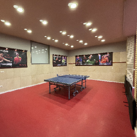 اجاره میز پینگ پنگ