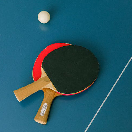 راهنمای خرید راکت پینگ پنگ